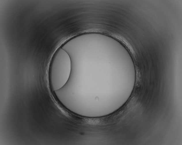 X0000088140890200705141029