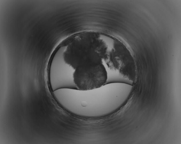 X0000088140891200705141029