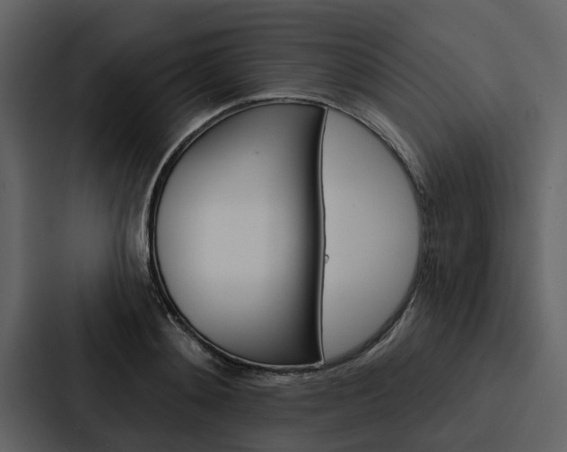 X0000088140892200705141029