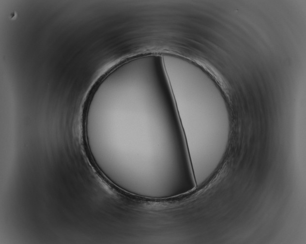 X0000088140894200705141029