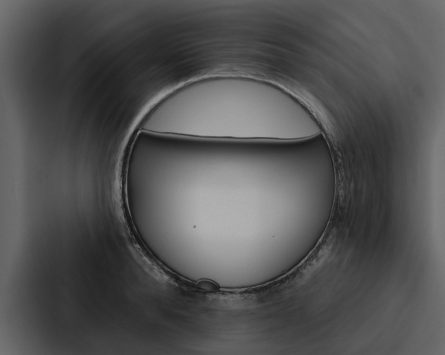 X0000088140896200705141029