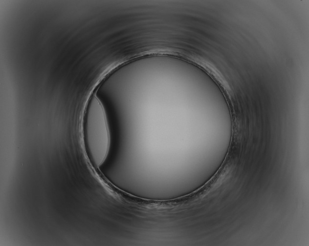 X0000088140898200705141029