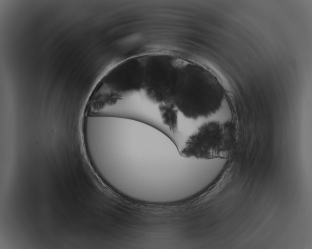 X0000088140899200705141029