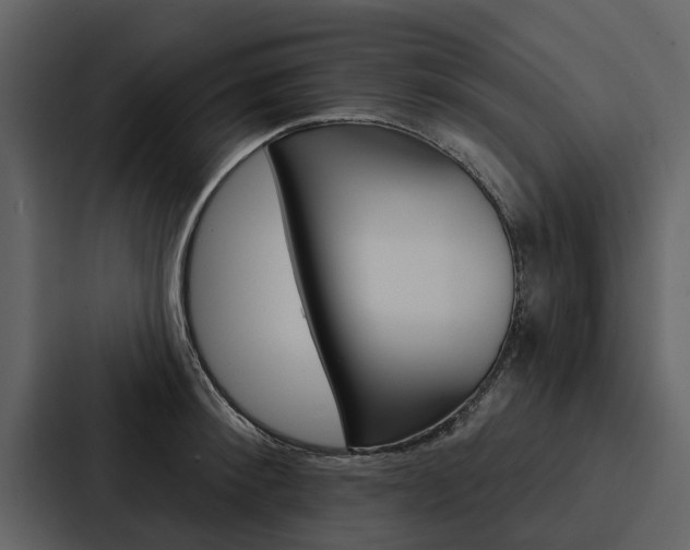 X0000088140900200705141029