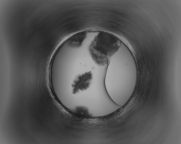 X0000088140903200705141029