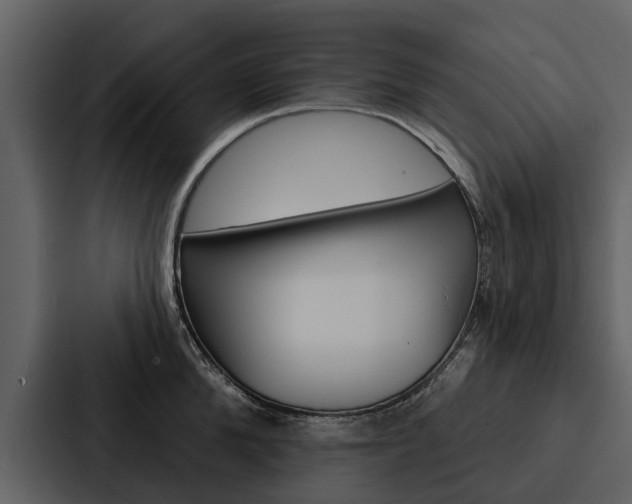 X0000088140904200705141029