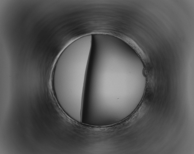 X0000088140908200705141029