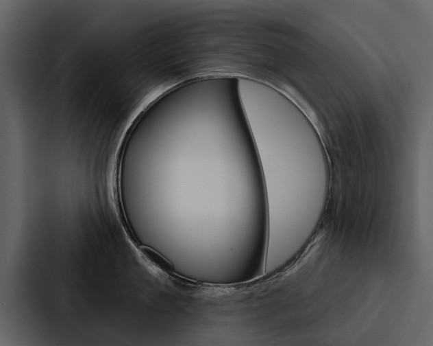 X0000088140909200705141029