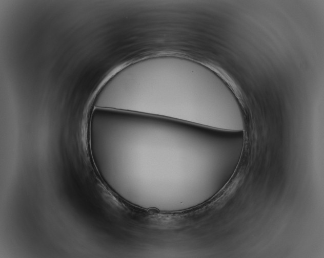 X0000088140910200705141029