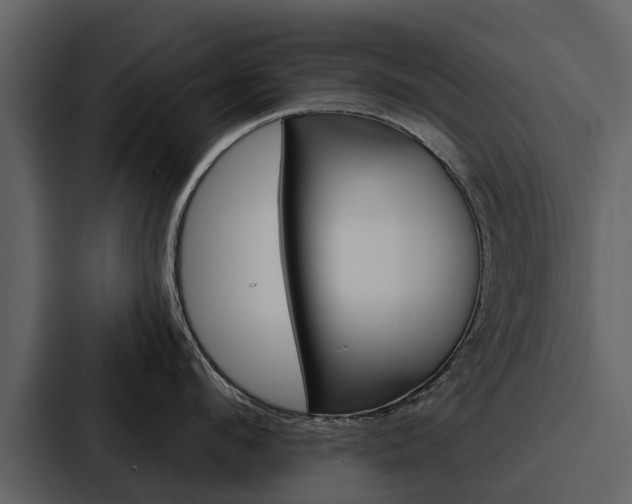 X0000088140912200705141029