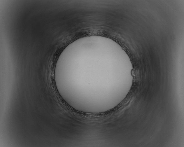 X0000088140913200705141028