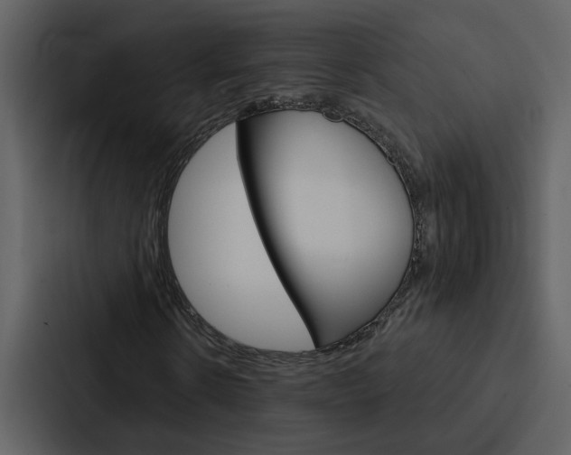 X0000088140914200705141028