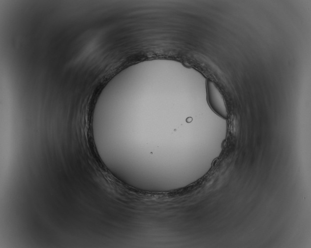 X0000088140915200705141028