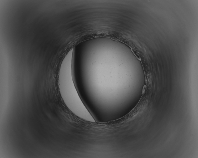 X0000088140916200705141028
