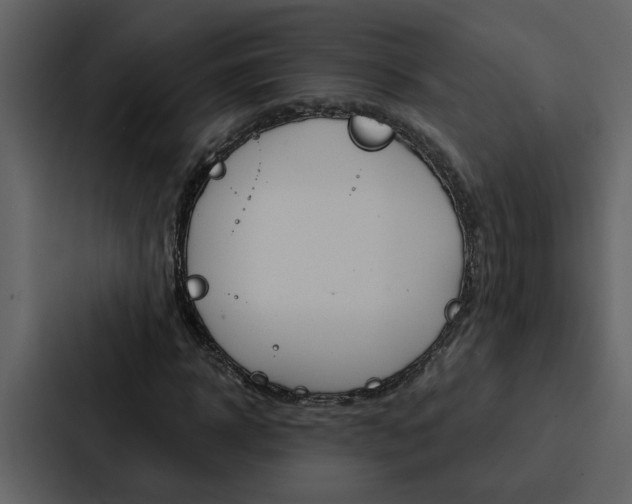 X0000088140918200705141028