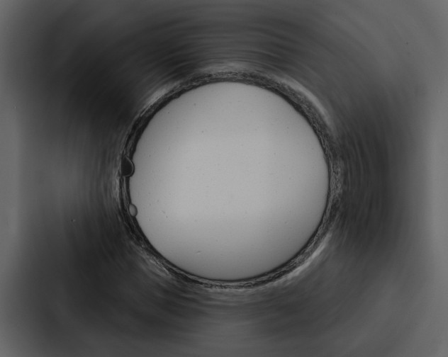 X0000088140921200705141028