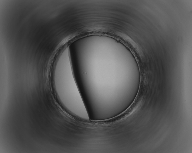 X0000088140922200705141028