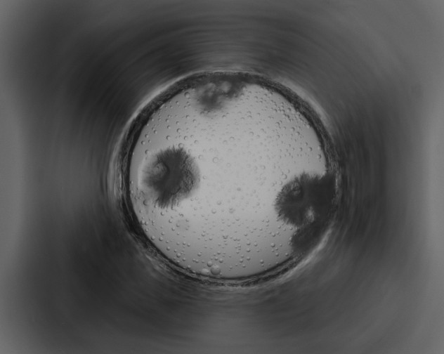 X0000088140925200705141029