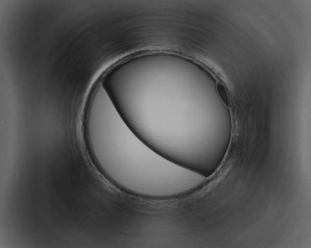 X0000088140928200705141029