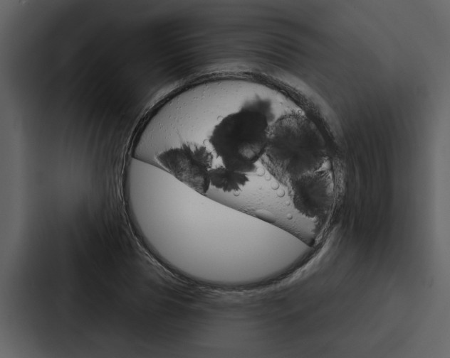 X0000088140929200705141029