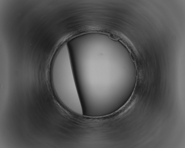 X0000088140930200705141029