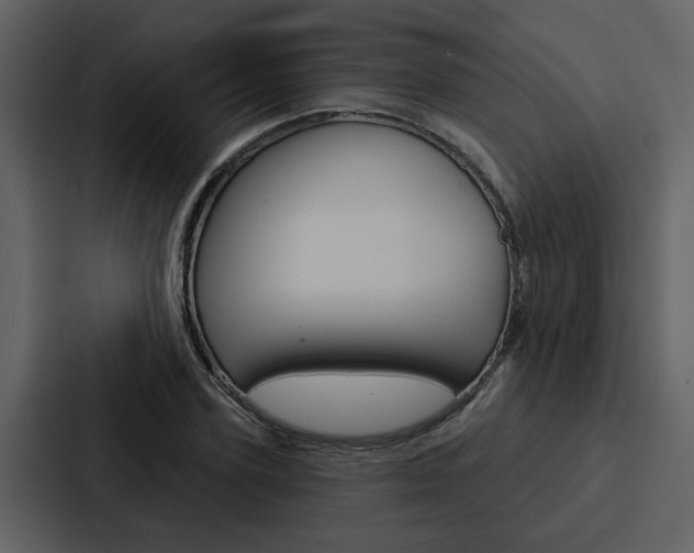 X0000088140931200705141029
