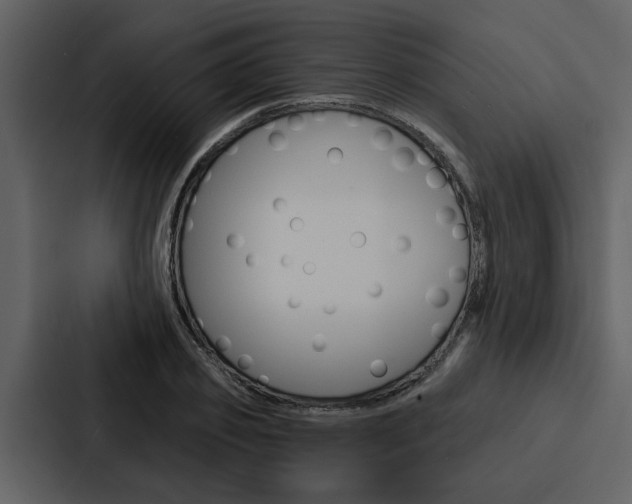 X0000088140933200705141029