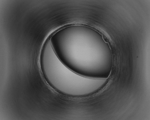 X0000088140936200705141029