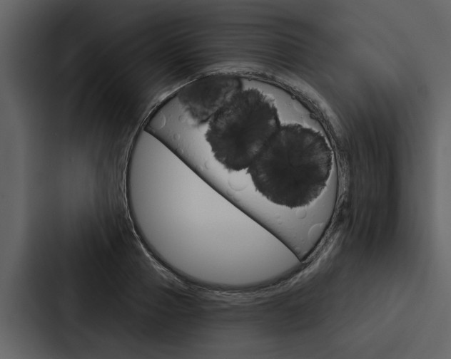 X0000088140937200705141029