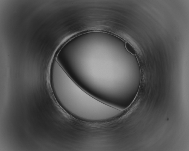 X0000088140940200705141029