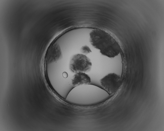 X0000088140941200705141029