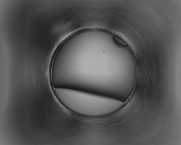 X0000088140943200705141029