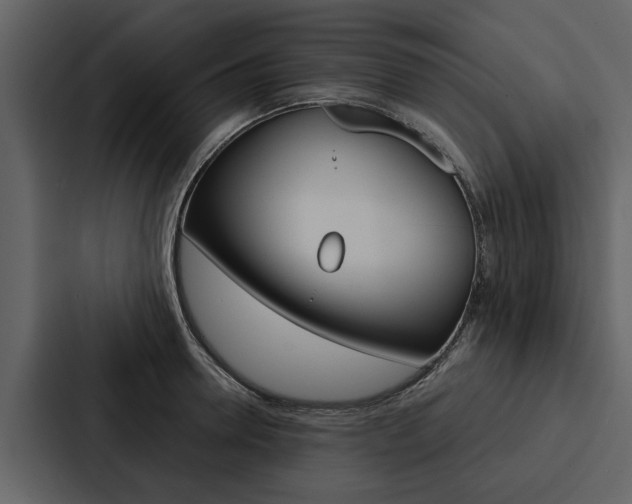 X0000088140946200705141029