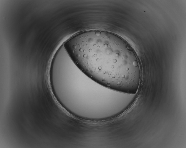 X0000088140949200705141029