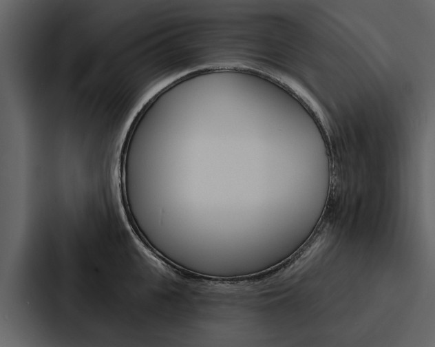 X0000088140951200705141029