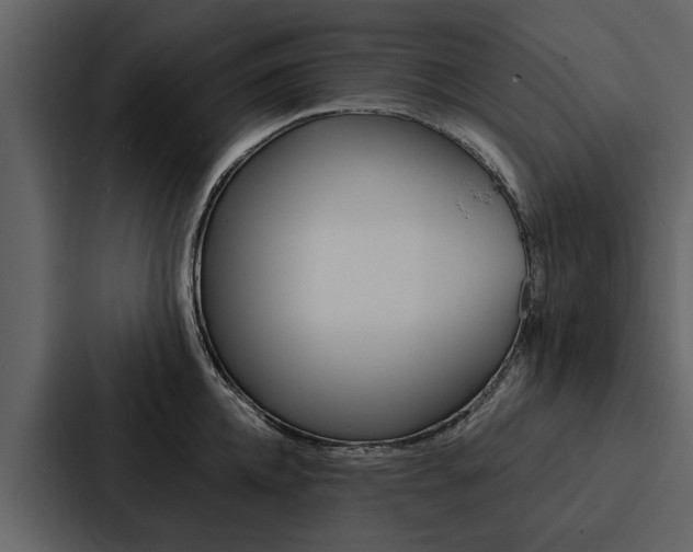 X0000088140952200705141029