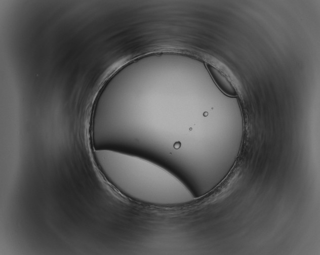 X0000088140954200705141029