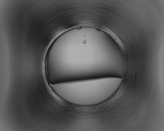 X0000088140955200705141029