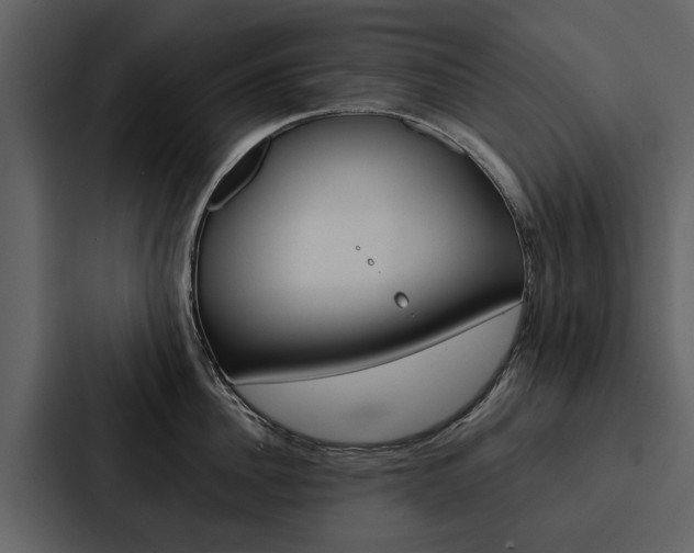 X0000088140956200705141029
