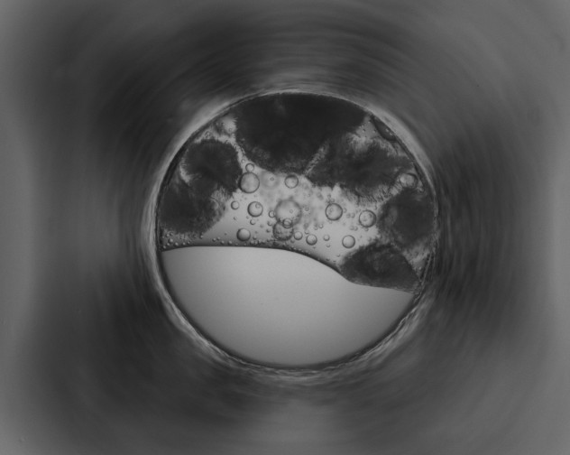 X0000088140957200705141029