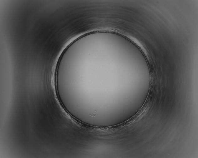X0000088140959200705141029