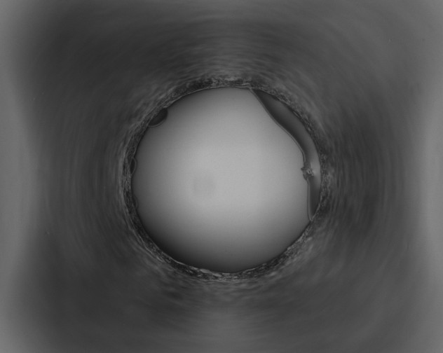 X0000088140961200705141028