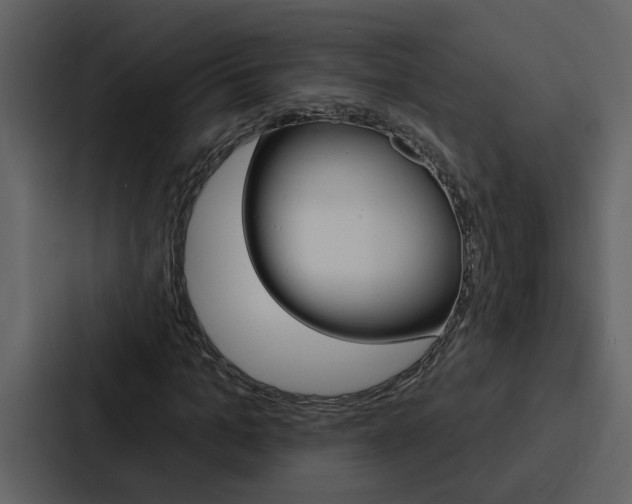 X0000088140965200705141028
