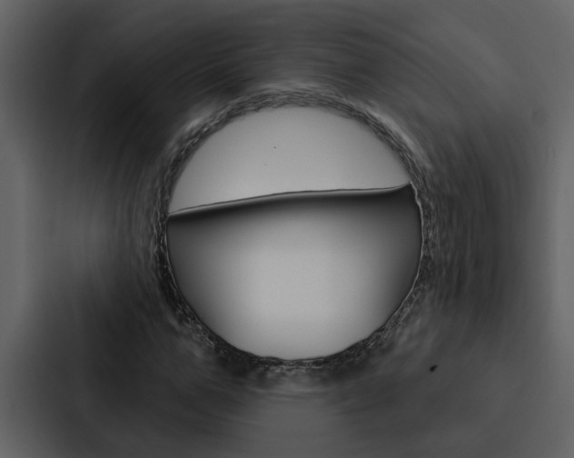 X0000088140967200705141028