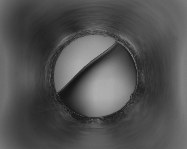 X0000088140968200705141028