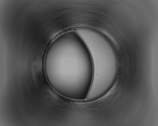 X0000088140969200705141028