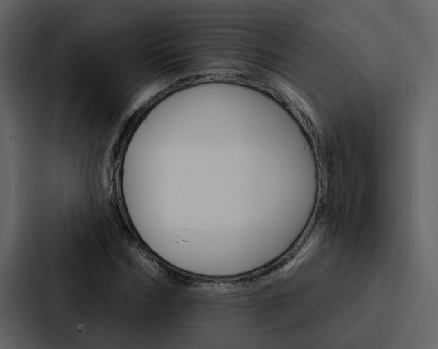 X0000088140970200705141028