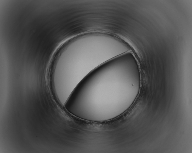 X0000088140971200705141028