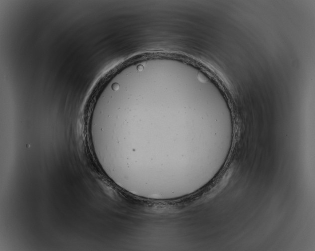X0000088140974200705141028