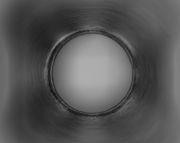 X0000088140975200705141028